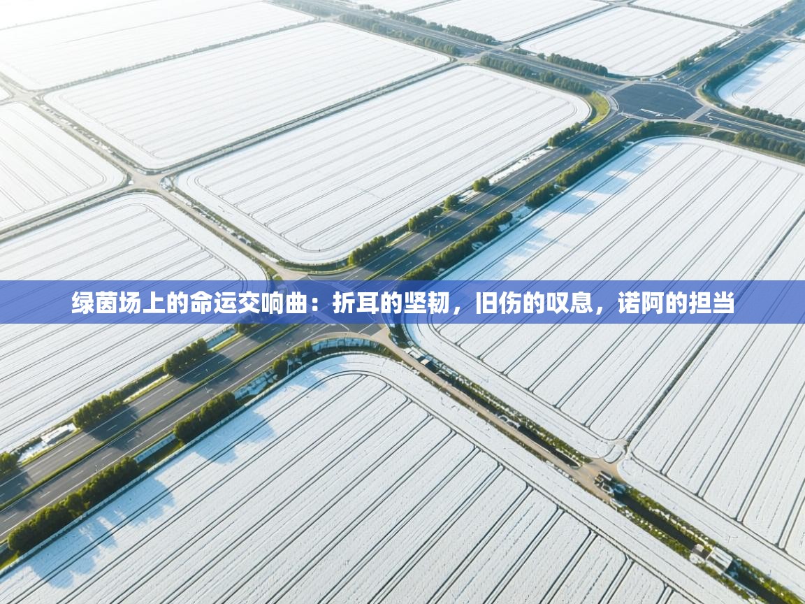 绿茵场上的命运交响曲:折耳的坚韧,旧伤的叹息,诺阿的担当 第2张