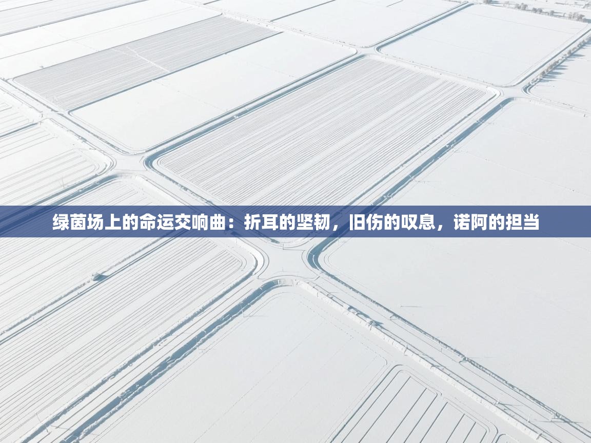 绿茵场上的命运交响曲:折耳的坚韧,旧伤的叹息,诺阿的担当 第1张