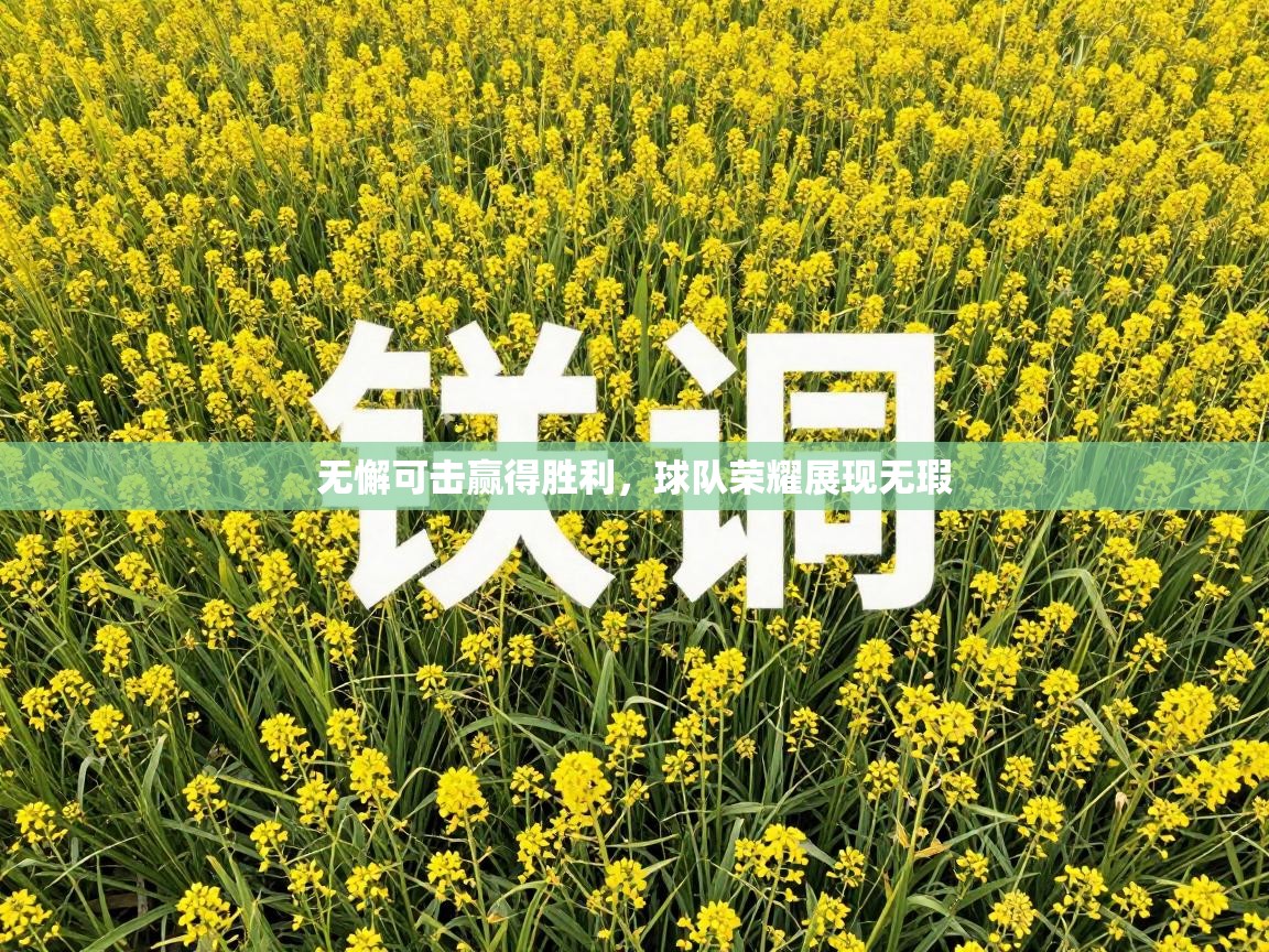 无懈可击赢得胜利,球队荣耀展现无瑕 第2张